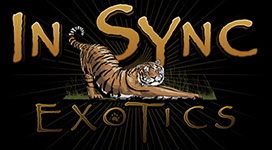 insync-exotics-logo